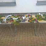 WP_20150624_16_13_59_Raw