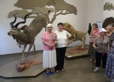 Wspólne zwiedzanie – „Zwierzęta i kontynenty” – wystawa w Muzeum Narodowym