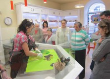 21.11.2014 – Pokaz wytwarzania słodyczy w „Magii Karmelu”