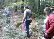 Wrzesień – grzybobranie i spacer po lesie