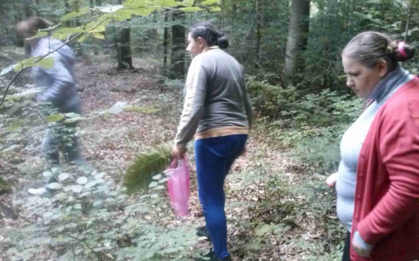 Wrzesień – grzybobranie i spacer po lesie