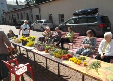 Przygotowania do Święta Matki Boskiej Zielnej – 12.08.2016