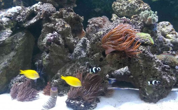 Dwudniowy wyjazd do kompleksu Świętokrzyska Polana 20-21.10.2016