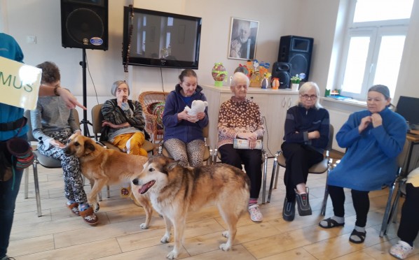 2022-04-05 | Dogoterapia