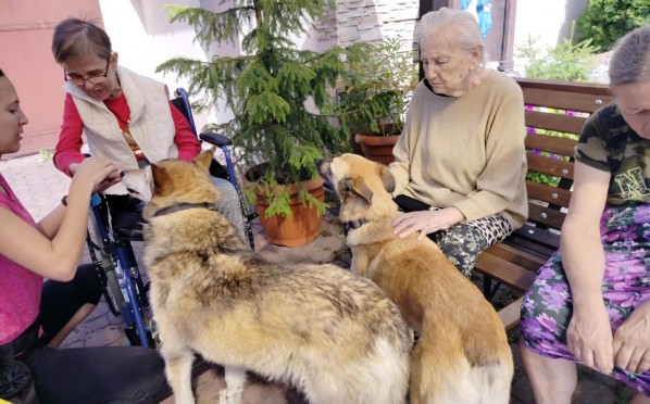 2022-08-09 | Dogoterapia w naszym Domu