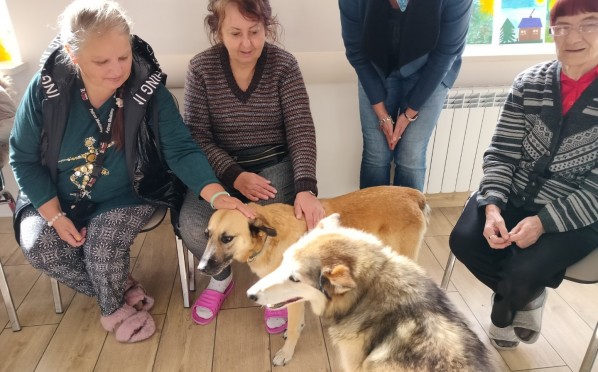 2022-09-20 | Dogoterapia