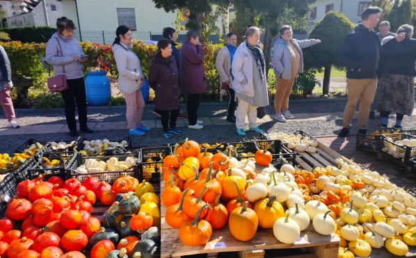 2022-09-23 | Dyniowa Planeta