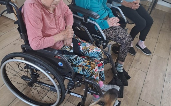 2023-06-22 | Dogoterapia