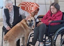 2023-09-06 Dogoterapia