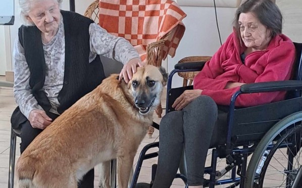 2023-09-06 Dogoterapia