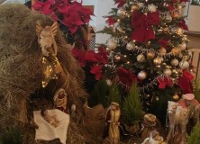 2023-12-20 | Święta Bożego Narodzenia w Kaplicy