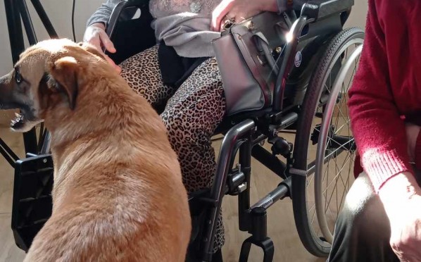 2024-01-17 | Dogoterapia