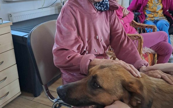 2024-05-15 | Dogoterapia