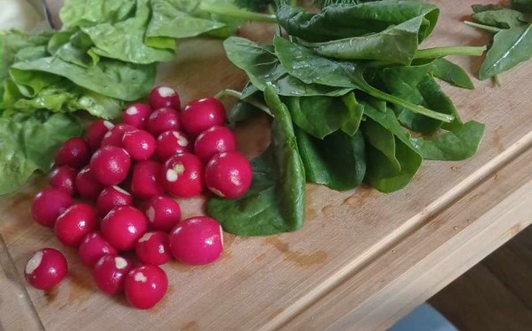 2024-05-29 | Zajęcia kulinarne