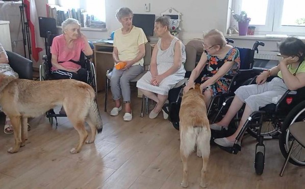 2024-07-05 | Dogoterapia