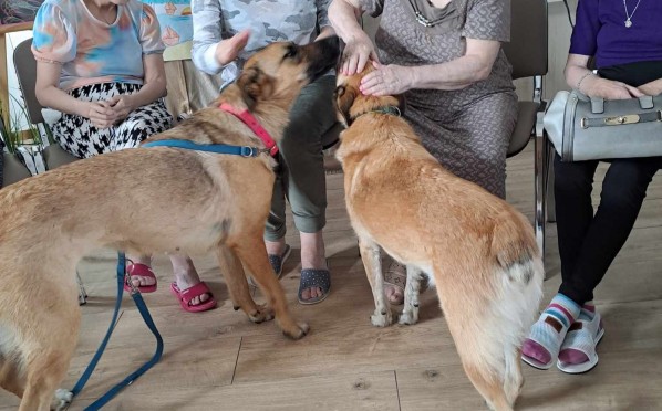 2024-08-21 | Dogoterapia