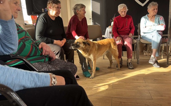 2024-10-28 Dogoterapia