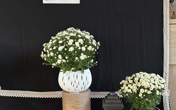 2024-11-01 Dzień Wszystkich Świętych