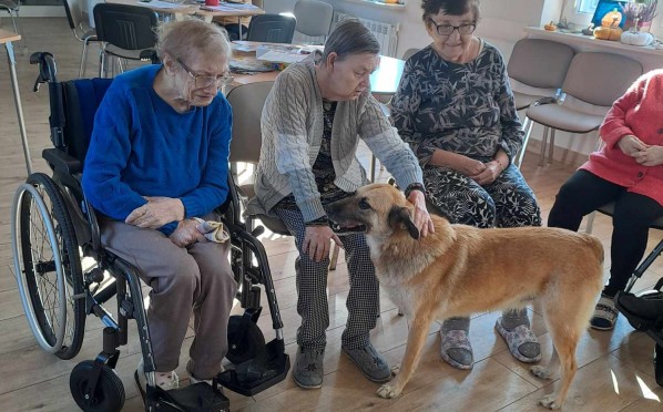 2024-11-06 Dogoterapia