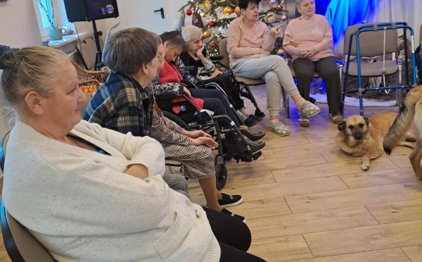 2025-01-08 Dogoterapia