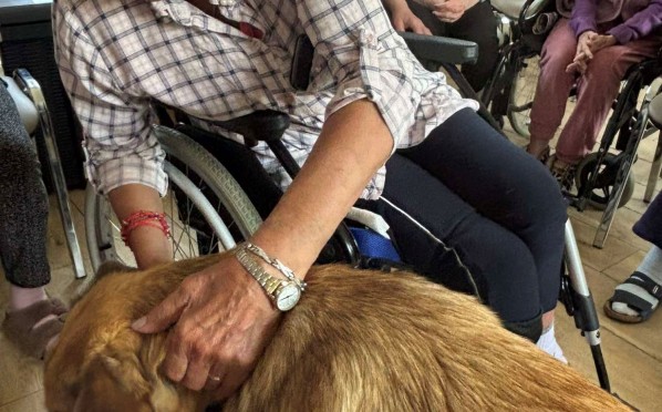 2025-05-08 Dogoterapia