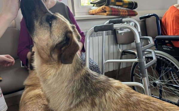 2025-06-04 Dogoterapia