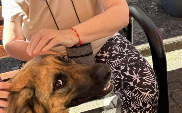 2025-7-23 Dogoterapia