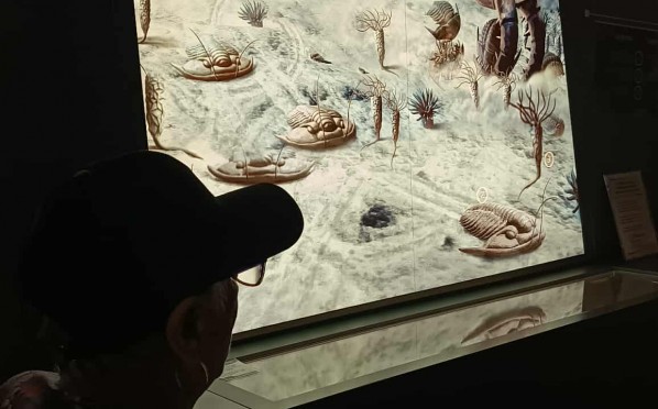 2025-08-14 Wycieczka do Centrum Geoedukacji w Kielcach