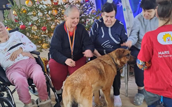 2026-01-14 Dogoterapia