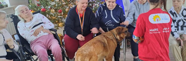 2026-01-14 Dogoterapia