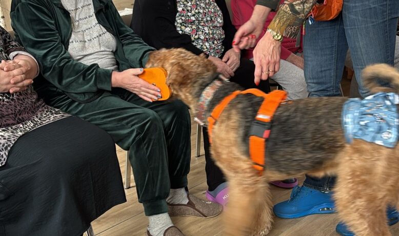 2026-04-14 Dogoterapia